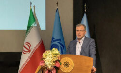 وجود 30 تا 50 بانک در کشور، مطلوب است