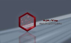 بیمه ما در شش ماه، به اندازه یک سال بیمه نامه فروخت