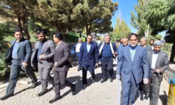 ضرورت یکپارچه‌سازی سیاست‌ها برای شکوفایی غار علیصدر