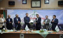 انتصاب سرپرست جدید معاونت فنی اموال و مسئولیت بیمه البرز