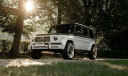 تزئین مرسدس بنز با پودر الماس و پوست کروکودیل