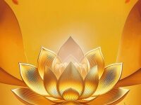 بیمه پاسارگاد رکوردشکنی کرد