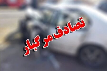 راننده مست 4 پاکبان را به کشتن داد