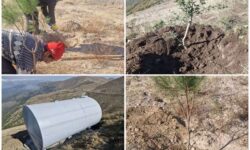 باقریان: احیای جنگلهای قرهداغ محور راهبردی محیطزیست سونگون است