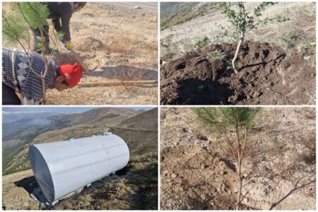 باقریان: احیای جنگلهای قره‌داغ محور راهبردی محیط‌زیست سونگون است