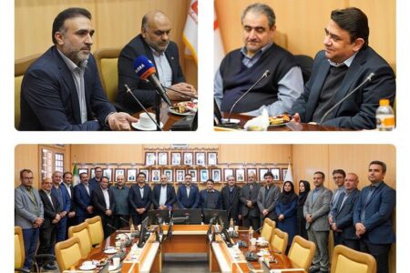 محسن ابراهیمی سرپرست معاونت مدیرعامل در امور فناوری اطلاعات بانک مسکن معرفی شد