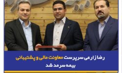 رضا زارعی سرپرست معاونت مالی و پشتیبانی بیمه سرمد شد