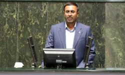 محقق نشدن افزایش سرمایه بانک کشاورزی امنیت غذایی کشور را تهدید می کند