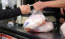 مرغ وارد مدار گرانی می‌شود