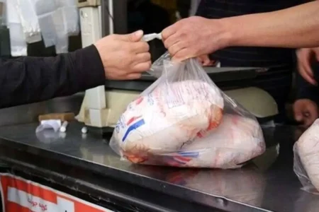 آغاز روند کاهشی قیمت مرغ، تخم‌مرغ و شیر در بازار ایران