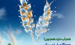حمایت ۱۹ هزار میلیارد ریالی بانک کشاورزی از مدیریت بحران آب با اجرای روش های نوین آبیاری