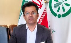 رکورد شکنی در توزیع کودهای کشاورزی در همدان