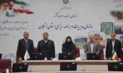 حضور مدیرعامل بانک ملی ایران در جلسه کارگروه اقتصادی، اشتغال و سرمایهگذاری استان زنجان/ شکل گیری سطح جدیدی از خدمات اعتباری و تفویض اختیار به استان ها