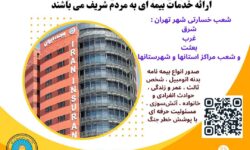 بیمه ایران؛ پرچمدار خدمت بینظیر