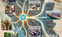 تداوم خدمات بانک توسعه تعاون در جنگ تحمیلی علیه جمهوری اسلامی ایران