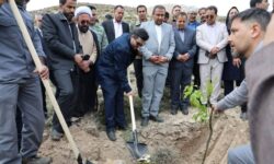 گام سوم پویش ملی «ریشه در وطن داریم»؛ این بار در مجتمع مس درآلو