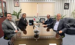 «نیما نوراللهی» سرپرست بیمه البرز شد