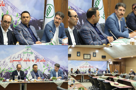 طرح رتبه بندی علمی نمایندگان بیمه البرز کلید خورد / تاکید مدیرعامل بر هوشمندسازی و حمایت از صف