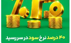 ابتکار بزرگ بیمه البرز برای تحقق شعار سال با بیمه های زندگی پروژه محور