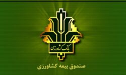 افزایش 140 درصدی غرامت پرداختی به کشاورزان خسارت دیده / جهش ۱۵۰ درصدی تعهدات بیمه گندم/ پوشش 100 درصدی 6.5 میلیون هکتار گندمزار