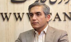 ​طرح اعتباری گندم بانک کشاورزی اقدامی راهبردی در حمایت از تولیدکنندگان و تقویت امنیت غذایی است
