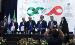 مشارکت بانک توسعه تعاون در حمایت از کسب‌وکارهای مهارت‌محور