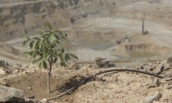 مسیر سبز مس ایران برای تأمین پایدار انرژی