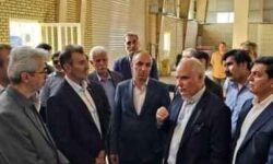 ظرفیت مناسب فناوری داخلی در ساخت ماشین‌آلات تولید کاغذ از سنگ