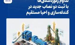 تداوم رکوردشکنیها با ثبت دو نصاب جدید در گندلهسازی و احیا مستقیم
