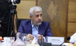 نشست هم‌اندیشی نمایندگان کرمان با مدیران گروه مالی گردشگری با هدف توسعه استان