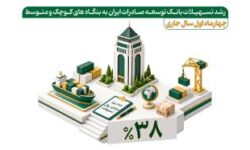 رشد ۳۸ درصدی تسهیلات بانک توسعه صادرات ایران به بنگاه‌های کوچک و متوسط