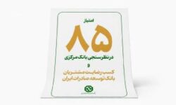کسب رضایت مشتریان شبکه بانکی توسط بانک توسعه صادرات در نظرسنجی بانک مرکزی