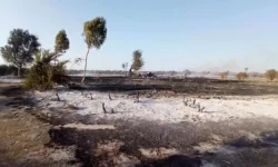 ۱۰ فقره آتشسوزی در میانکاله