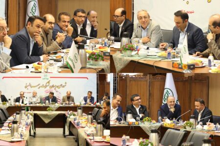 مدیرعامل بیمه البرز در نشست شورای مدیران: تراز بیمه البرز، مسئولیت آفرین است؛ باید در تمامی شاخص ها بدرخشیم​