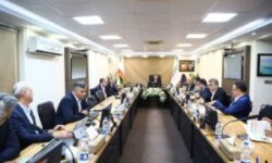 سمیعی‌نژاد خبر داد:اعلام آمادگی ایمیدرو برای واگذاری برخی محدوده‌های اکتشافی