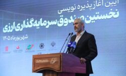 ایجاد صندوق‌های ارزی از محورهای اصلی «طرح رویش» است