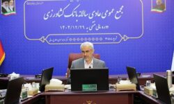 تأکید وزیر اقتصاد بر افزایش سرمایه بانک کشاورزی با هدف تقویت حمایت از تولید