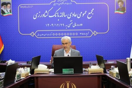 تأکید وزیر اقتصاد بر افزایش سرمایه بانک کشاورزی با هدف تقویت حمایت از تولید