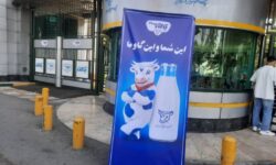  مسکات آمد؛ پگاه تغییر کرد