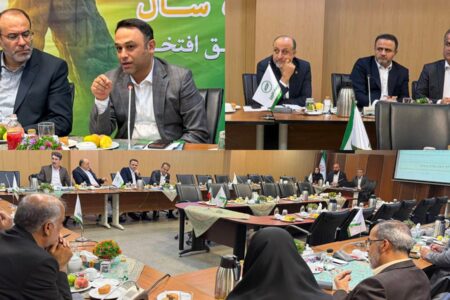 تاکید اعضای کمیسیون اقتصادی مجلس بر نقش آفرینی موثر بیمه البرز در چرخه اقتصادی کشور