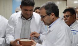 محمد نریمانی‌راد از توزیع سراسری محصولات لبنی گاومیش پگاه، برنامه‌ریزی برای ثبات قیمت‌ها و آمادگی کامل جهت تأمین شیر مدارس خبر داد